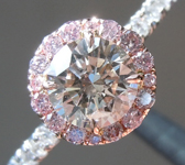 SOLD.....Brown Diamond Ring: .63ct S-T, Light Brown I1 Round Brilliant GIA Halo Ring R5923