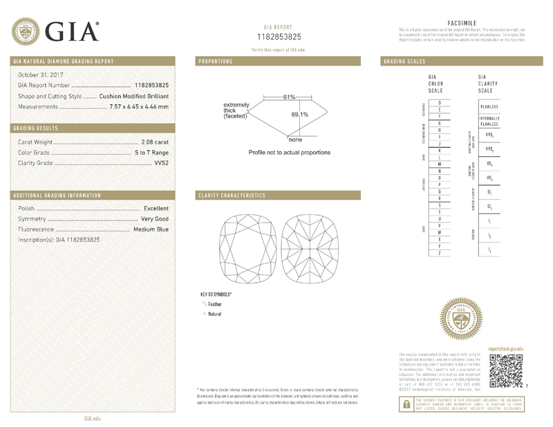  gia report