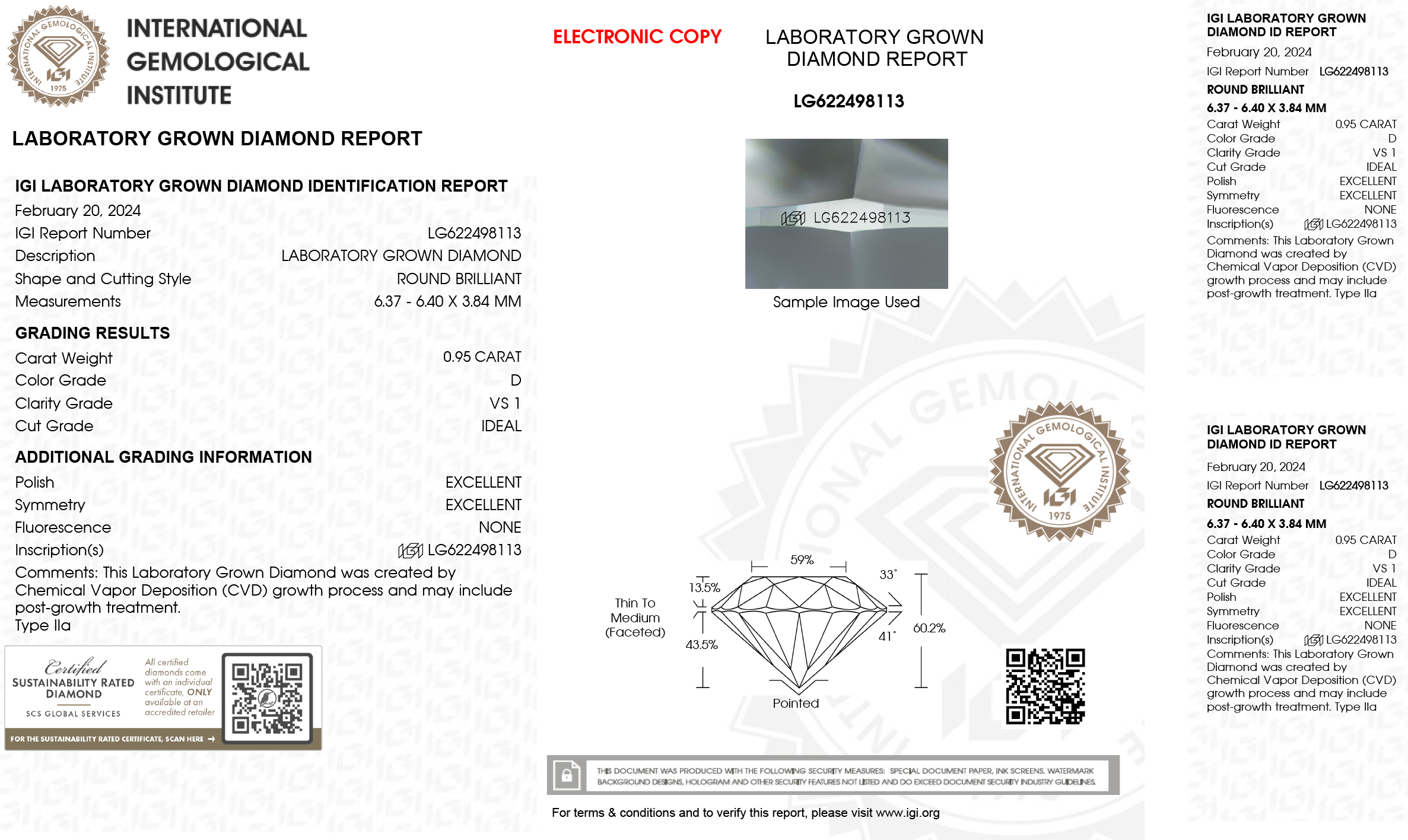 igi report