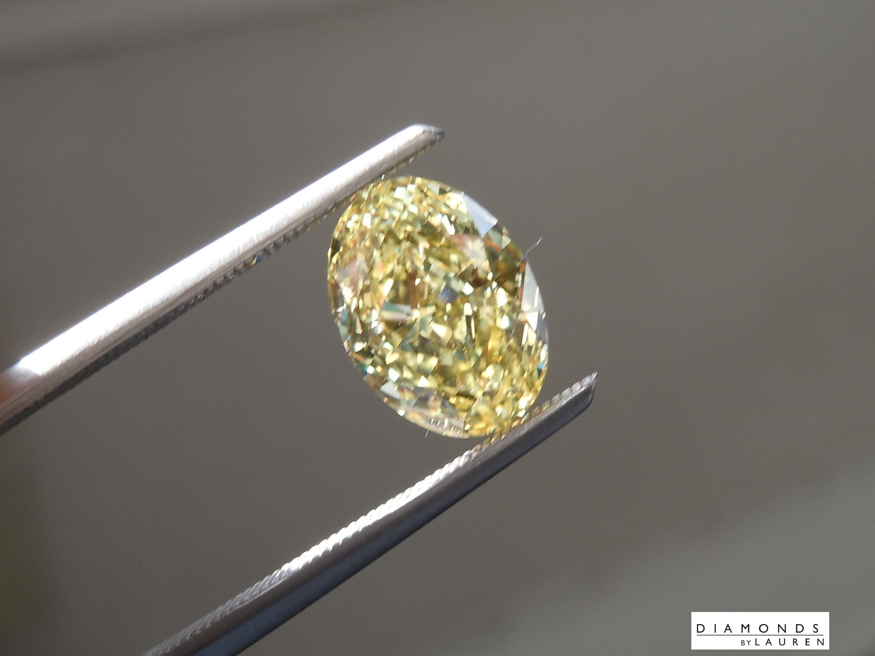 canary lab diamond>
<input name=