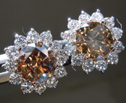 SOLD....Diamond Earrings: 2.45cts Fancy Dark Orangy-Yellow Brown I1 Round Brilliant Diamond Halo Earrings R6855